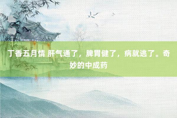 丁香五月情 肝气通了，脾胃健了，病就逃了。奇妙的中成药