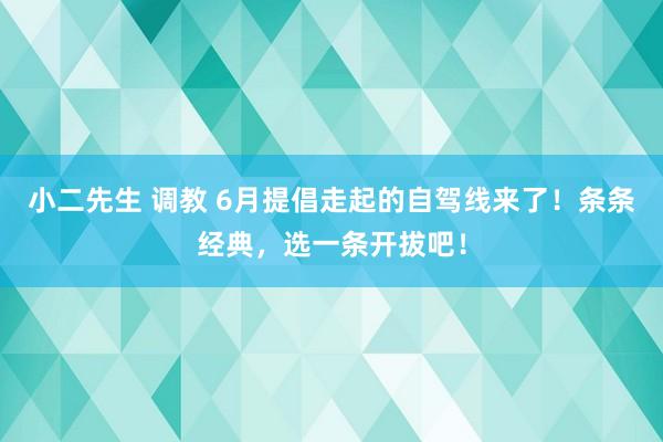 小二先生 调教 6月提倡走起的自驾线来了！条条经典，选一条开拔吧！