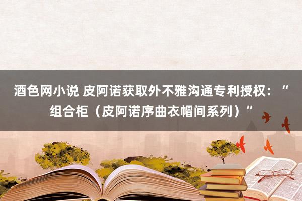 酒色网小说 皮阿诺获取外不雅沟通专利授权：“组合柜（皮阿诺序曲衣帽间系列）”