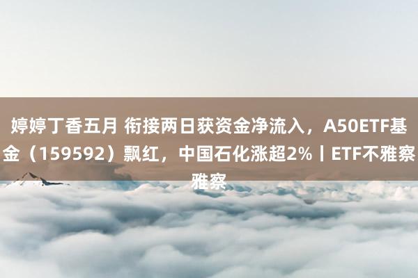 婷婷丁香五月 衔接两日获资金净流入，A50ETF基金（159592）飘红，中国石化涨超2%丨ETF不雅察