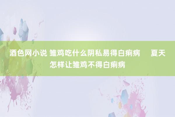 酒色网小说 雏鸡吃什么阴私易得白痢病     夏天怎样让雏鸡不得白痢病