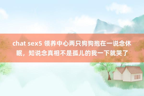 chat sex5 领养中心两只狗狗抱在一说念休眠，知说念真相不是孤儿的我一下就哭了