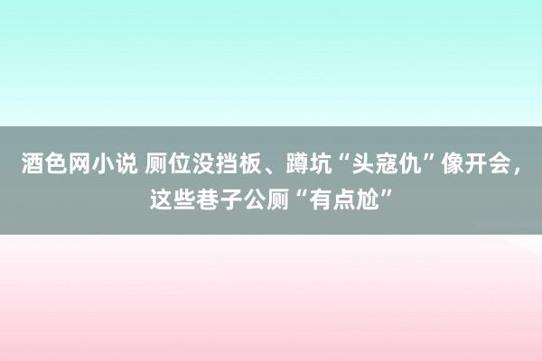 酒色网小说 厕位没挡板、蹲坑“头寇仇”像开会，这些巷子公厕“有点尬”