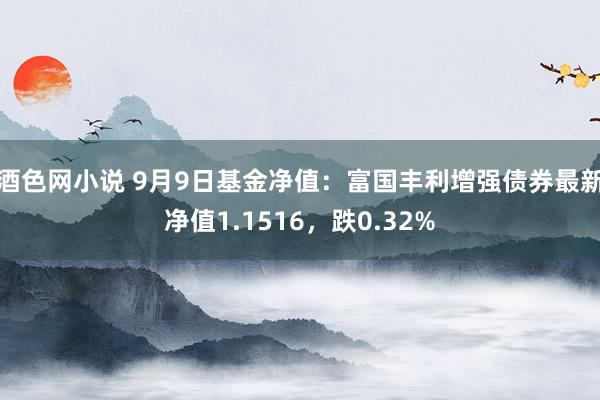 酒色网小说 9月9日基金净值：富国丰利增强债券最新净值1.1516，跌0.32%