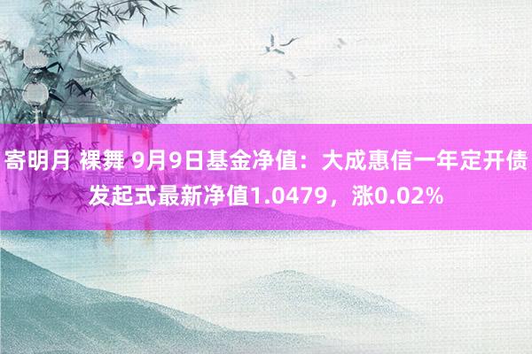 寄明月 裸舞 9月9日基金净值：大成惠信一年定开债发起式最新净值1.0479，涨0.02%