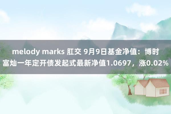 melody marks 肛交 9月9日基金净值：博时富灿一年定开债发起式最新净值1.0697，涨0.02%