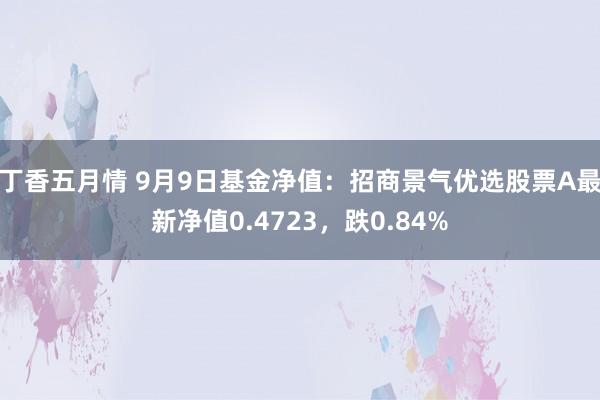 丁香五月情 9月9日基金净值：招商景气优选股票A最新净值0.4723，跌0.84%