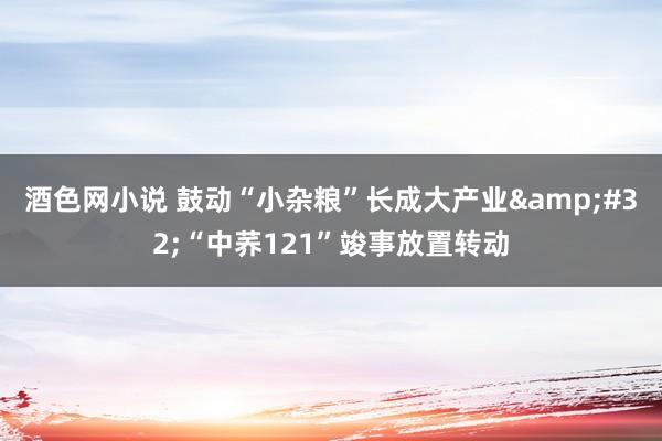 酒色网小说 鼓动“小杂粮”长成大产业&#32;“中荞121”竣事放置转动