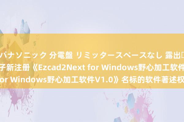 パナソニック 分電盤 リミッタースペースなし 露出・半埋込両用形 金橙子新注册《Ezcad2Next for Windows野心加工软件V1.0》名标的软件著述权