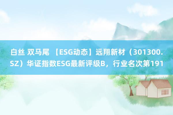 白丝 双马尾 【ESG动态】远翔新材（301300.SZ）华证指数ESG最新评级B，行业名次第191