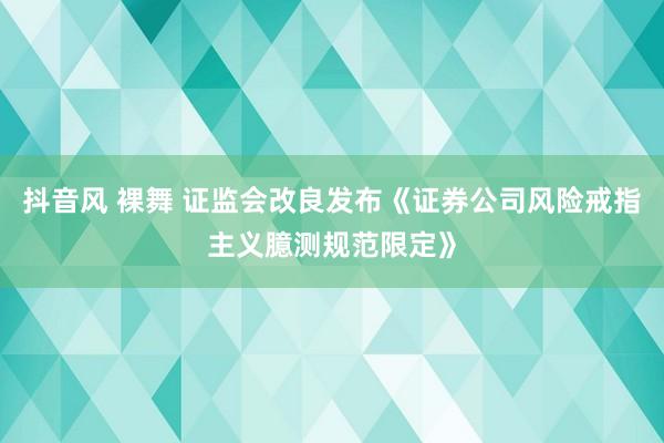 抖音风 裸舞 证监会改良发布《证券公司风险戒指主义臆测规范限定》