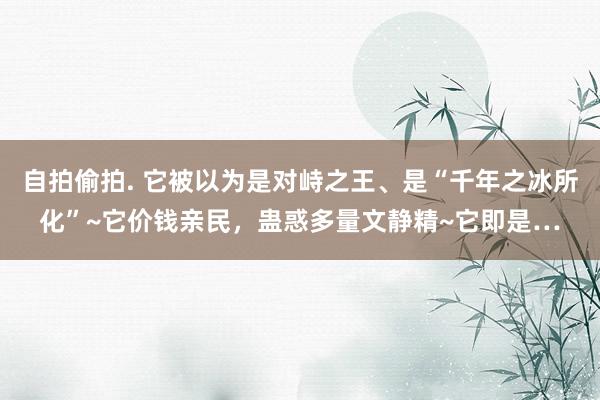 自拍偷拍. 它被以为是对峙之王、是“千年之冰所化”~它价钱亲民，蛊惑多量文静精~它即是…