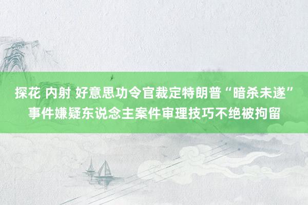 探花 内射 好意思功令官裁定特朗普“暗杀未遂”事件嫌疑东说念主案件审理技巧不绝被拘留