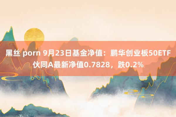 黑丝 porn 9月23日基金净值：鹏华创业板50ETF伙同A最新净值0.7828，跌0.2%