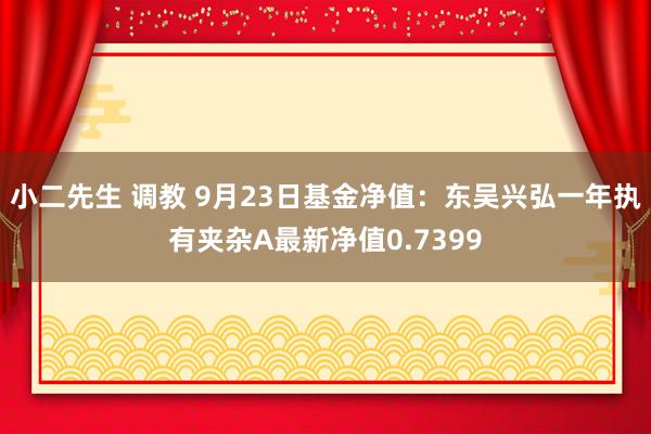 小二先生 调教 9月23日基金净值：东吴兴弘一年执有夹杂A最新净值0.7399