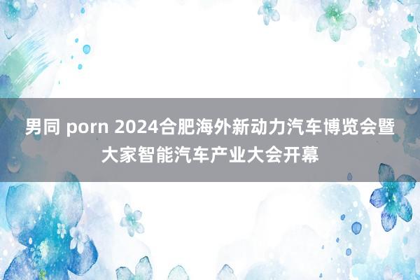 男同 porn 2024合肥海外新动力汽车博览会暨大家智能汽车产业大会开幕