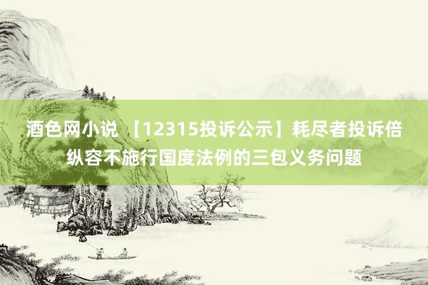 酒色网小说 【12315投诉公示】耗尽者投诉倍纵容不施行国度法例的三包义务问题