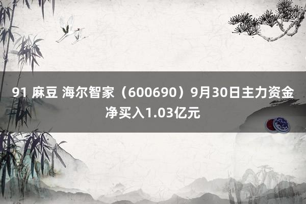 91 麻豆 海尔智家（600690）9月30日主力资金净买入1.03亿元