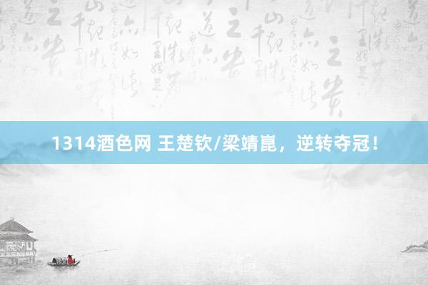 1314酒色网 王楚钦/梁靖崑，逆转夺冠！