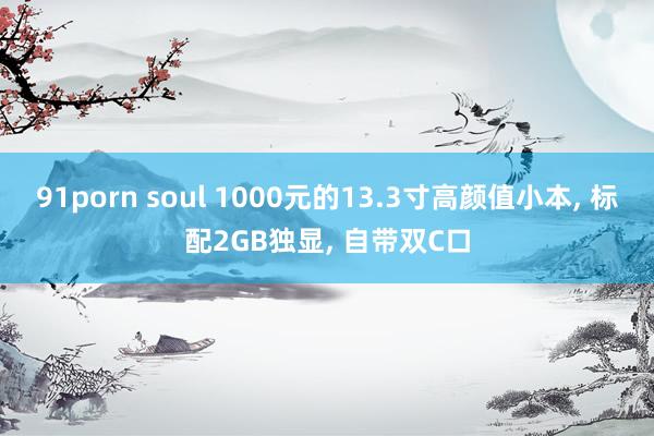 91porn soul 1000元的13.3寸高颜值小本， 标配2GB独显， 自带双C口