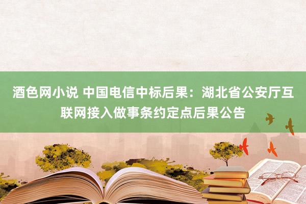 酒色网小说 中国电信中标后果：湖北省公安厅互联网接入做事条约定点后果公告