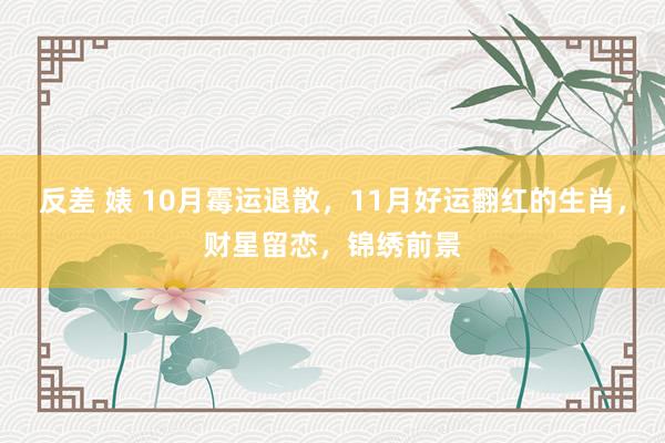 反差 婊 10月霉运退散，11月好运翻红的生肖，财星留恋，锦绣前景