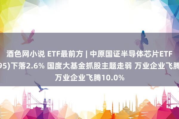 酒色网小说 ETF最前方 | 中原国证半导体芯片ETF(159995)下落2.6% 国度大基金抓股主题走弱 万业企业飞腾10.0%