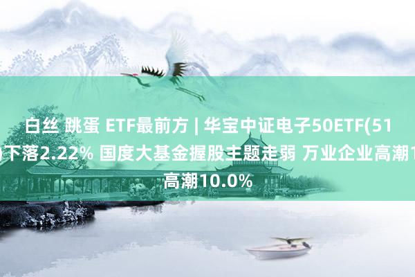 白丝 跳蛋 ETF最前方 | 华宝中证电子50ETF(515260)下落2.22% 国度大基金握股主题走弱 万业企业高潮10.0%