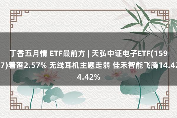 丁香五月情 ETF最前方 | 天弘中证电子ETF(159997)着落2.57% 无线耳机主题走弱 佳禾智能飞腾14.42%