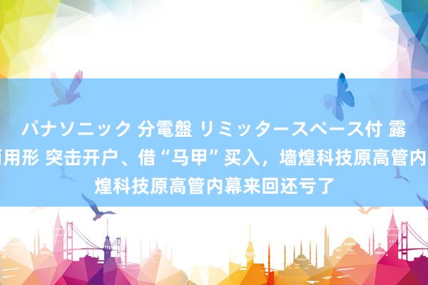 パナソニック 分電盤 リミッタースペース付 露出・半埋込両用形 突击开户、借“马甲”买入，墙煌科技原高管内幕来回还亏了