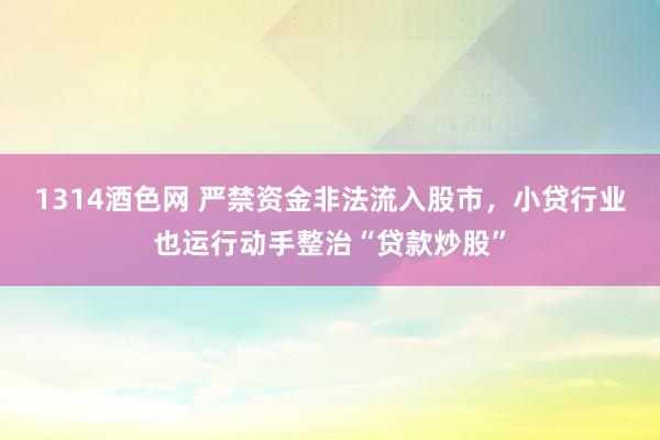 1314酒色网 严禁资金非法流入股市，小贷行业也运行动手整治“贷款炒股”