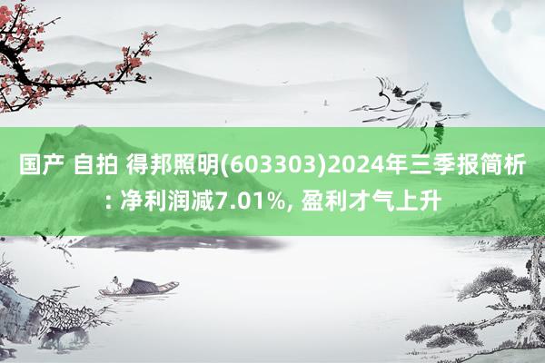 国产 自拍 得邦照明(603303)2024年三季报简析: 净利润减7.01%， 盈利才气上升