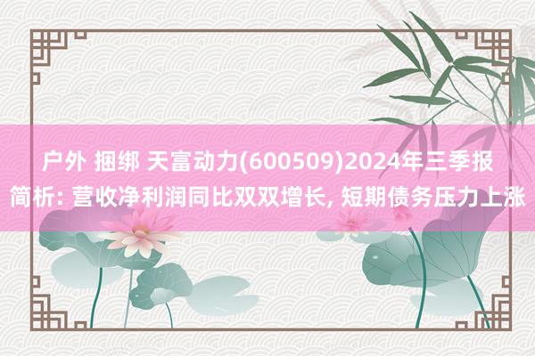 户外 捆绑 天富动力(600509)2024年三季报简析: 营收净利润同比双双增长， 短期债务压力上涨