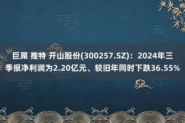 巨屌 推特 开山股份(300257.SZ)：2024年三季报净利润为2.20亿元、较旧年同时下跌36.55%