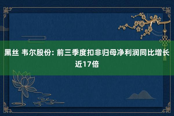 黑丝 韦尔股份: 前三季度扣非归母净利润同比增长近17倍