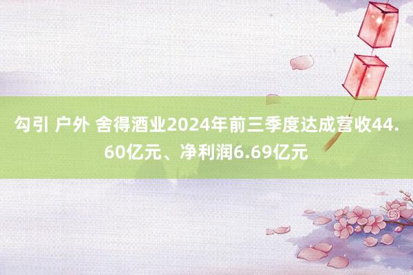 勾引 户外 舍得酒业2024年前三季度达成营收44.60亿元、净利润6.69亿元