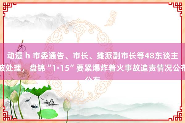 动漫 h 市委通告、市长、摊派副市长等48东谈主被处理，盘锦“1·15”要紧爆炸着火事故追责情况公布