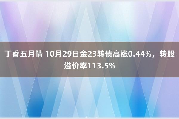 丁香五月情 10月29日金23转债高涨0.44%，转股溢价率113.5%