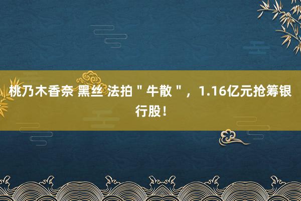 桃乃木香奈 黑丝 法拍＂牛散＂，1.16亿元抢筹银行股！