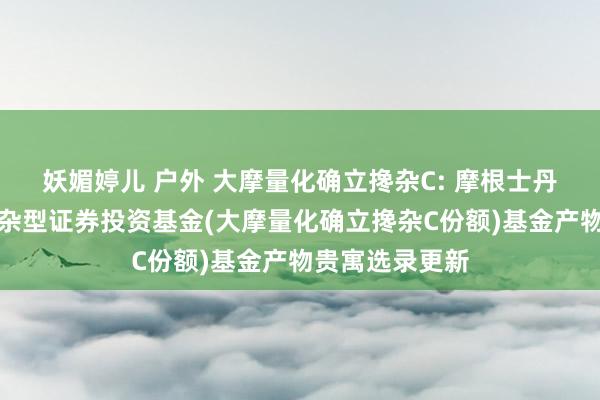 妖媚婷儿 户外 大摩量化确立搀杂C: 摩根士丹利量化确立搀杂型证券投资基金(大摩量化确立搀杂C份额)基金产物贵寓选录更新