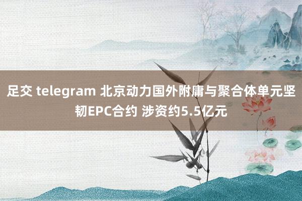 足交 telegram 北京动力国外附庸与聚合体单元坚韧EPC合约 涉资约5.5亿元