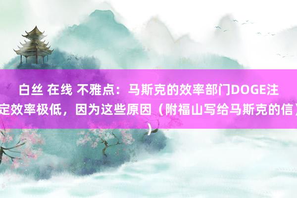 白丝 在线 不雅点：马斯克的效率部门DOGE注定效率极低，因为这些原因（附福山写给马斯克的信）