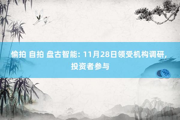 偷拍 自拍 盘古智能: 11月28日领受机构调研， 投资者参与