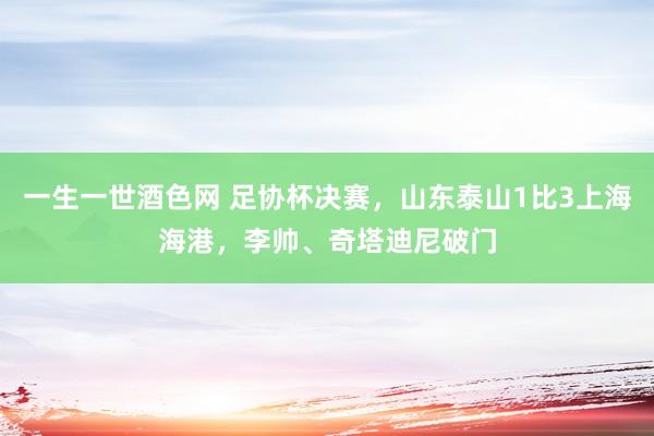 一生一世酒色网 足协杯决赛，山东泰山1比3上海海港，李帅、奇塔迪尼破门