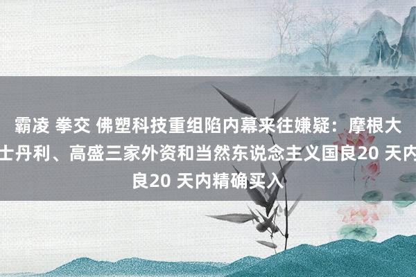 霸凌 拳交 佛塑科技重组陷内幕来往嫌疑：摩根大通、摩根士丹利、高盛三家外资和当然东说念主义国良20 天内精确买入