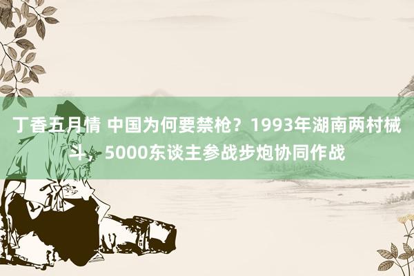 丁香五月情 中国为何要禁枪？1993年湖南两村械斗，5000东谈主参战步炮协同作战