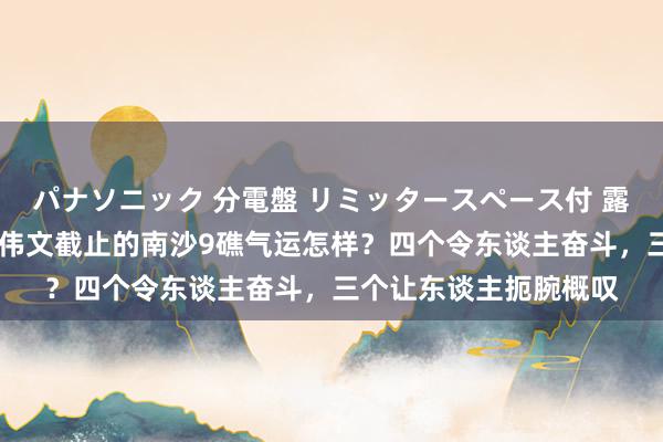 パナソニック 分電盤 リミッタースペース付 露出・半埋込両用形 陈伟文截止的南沙9礁气运怎样？四个令东谈主奋斗，三个让东谈主扼腕概叹