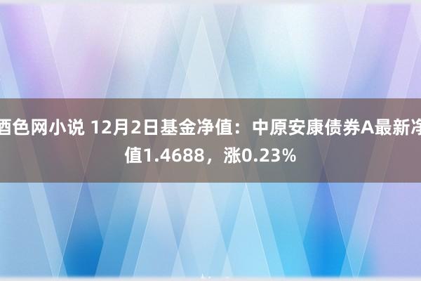 酒色网小说 12月2日基金净值：中原安康债券A最新净值1.4688，涨0.23%