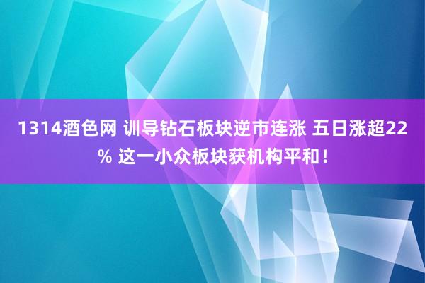 1314酒色网 训导钻石板块逆市连涨 五日涨超22% 这一小众板块获机构平和！