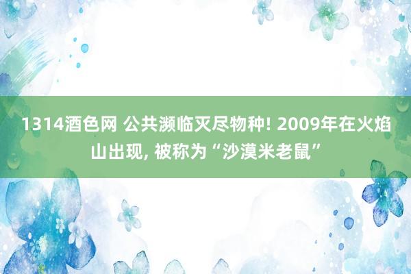 1314酒色网 公共濒临灭尽物种! 2009年在火焰山出现， 被称为“沙漠米老鼠”